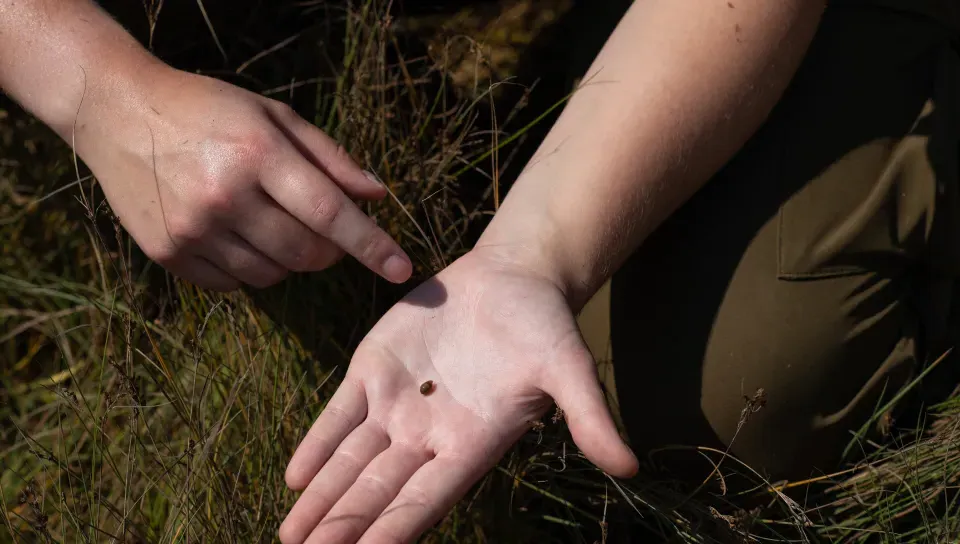 Robyn Rollo holding snail